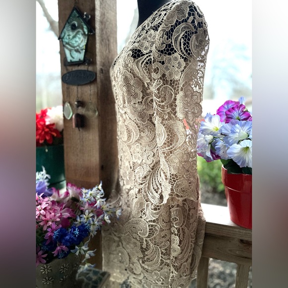 Adrianna Papell Elegant Palest Beige Lace Overlay Back Zip 3/4 Sleeves Dress 10 - Picture 7 of 11